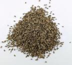 Dill Saat